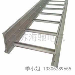 熱(re)鍍鋅(xin)橋架